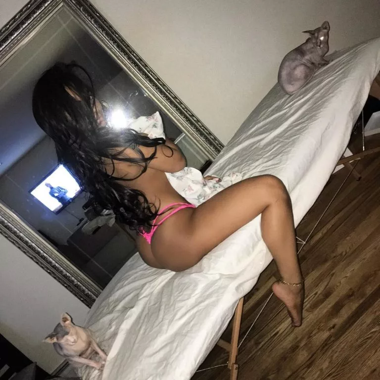 Diaz pussy ayisha Search Results